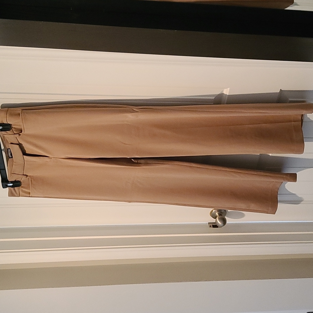 Dress pants